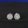 .24 CTW Diamonds Rositas Earrings Platinum E0220-PT